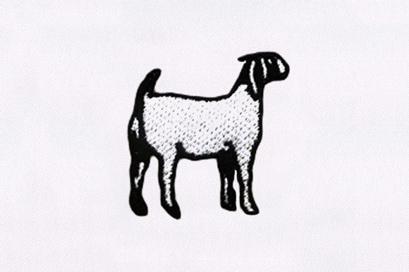 Sweet Goat: A Designer’s Review for Boutique Apparel